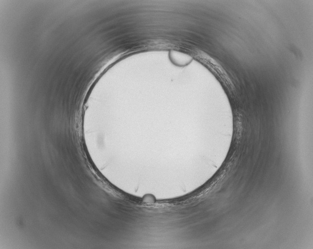 X0000115291236200912141049