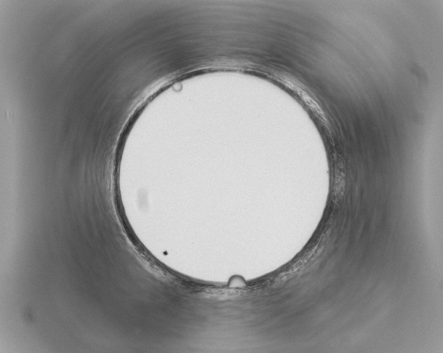 X0000115291237200912141049