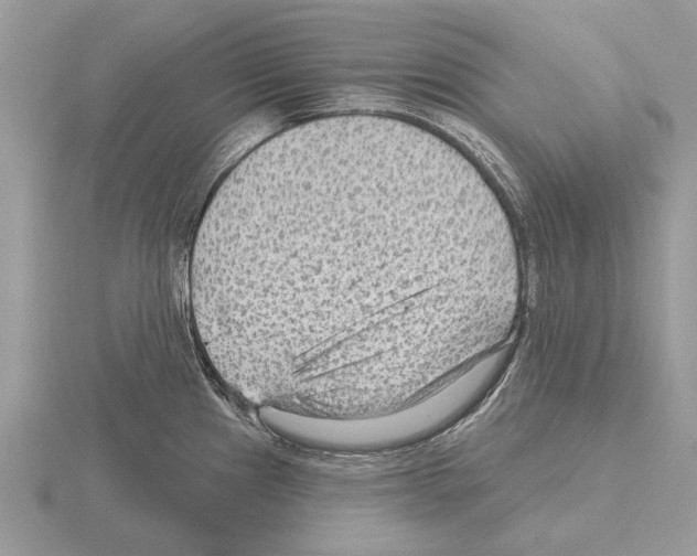 X0000115291241200912141049