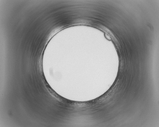 X0000115291242200912141049
