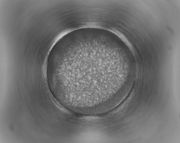 X0000115291246200912141049