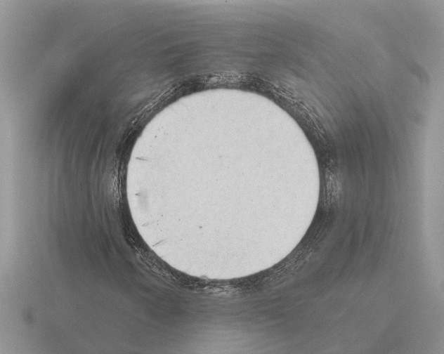 X0000115291250200912141048