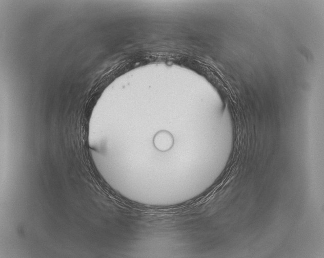 X0000115291253200912141048