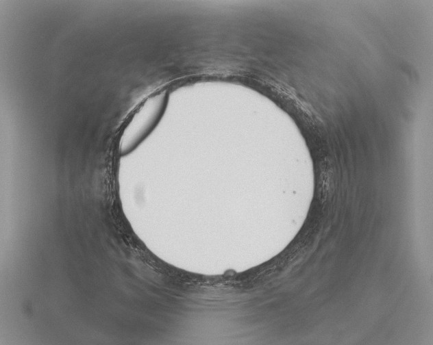 X0000115291256200912141048