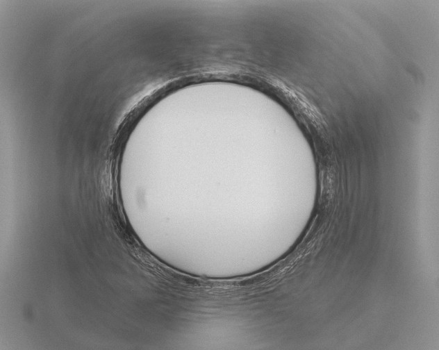 X0000115291262200912141048