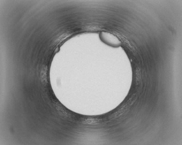 X0000115291265200912141048