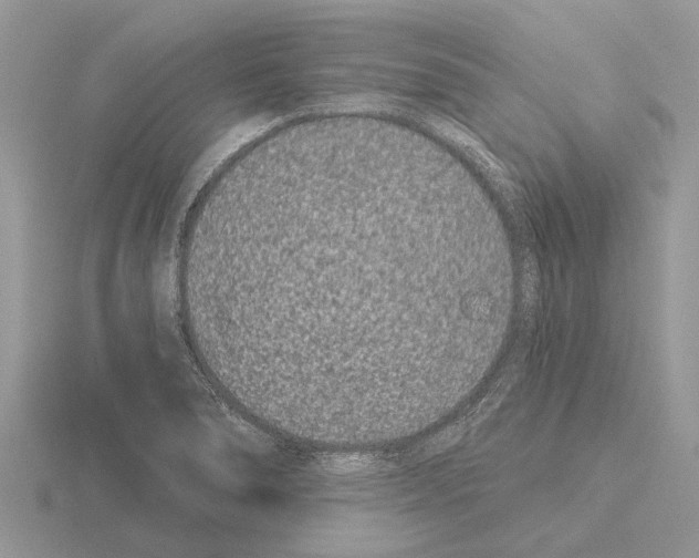 X0000115291278200912141048