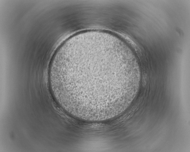 X0000115291279200912141048