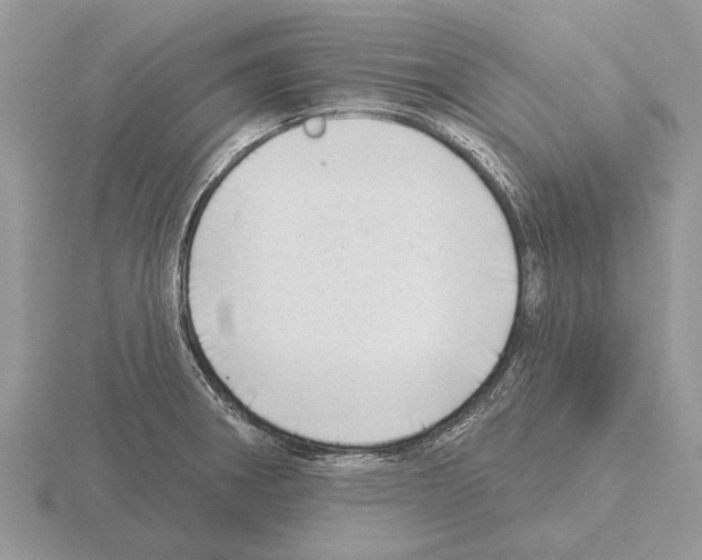 X0000115291282200912141048