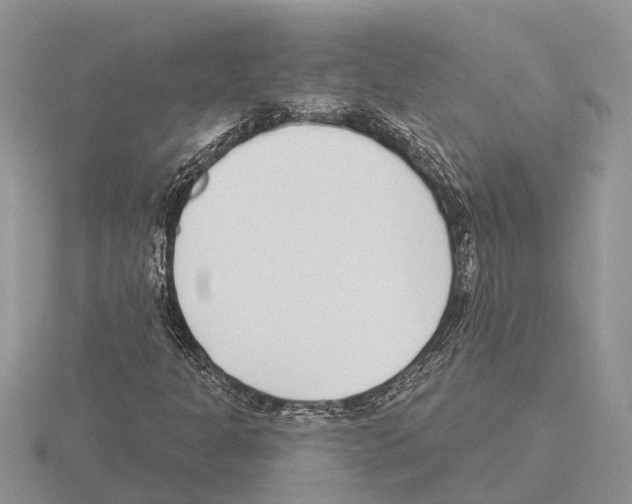 X0000115291301200912141047