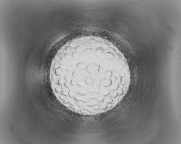 X0000115291302200912141047