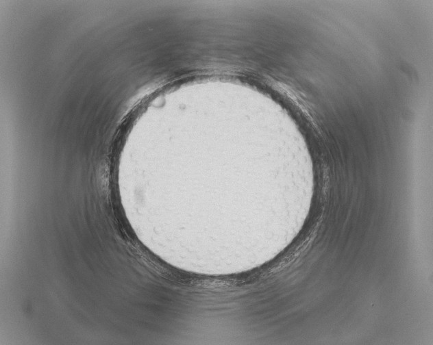 X0000115291307200912141047