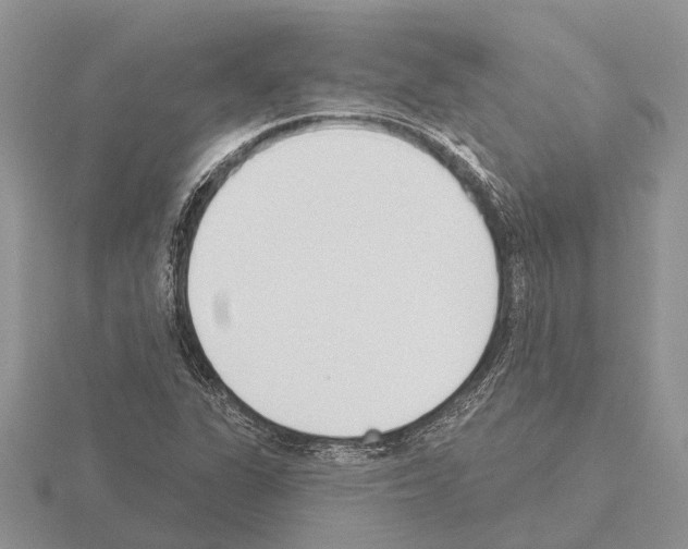 X0000115291311200912141047