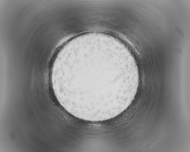 X0000115291315200912141047