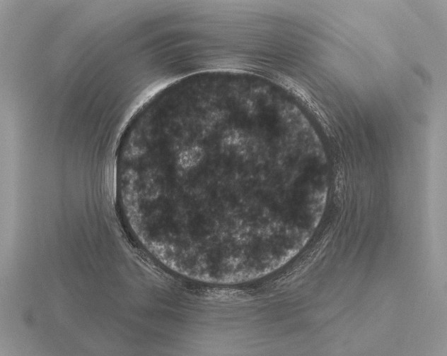 X0000115291323200912141047