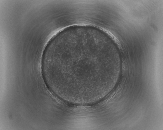 X0000115291327200912141047
