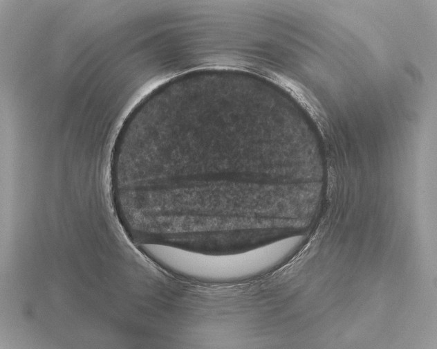 X0000115291331200912141048