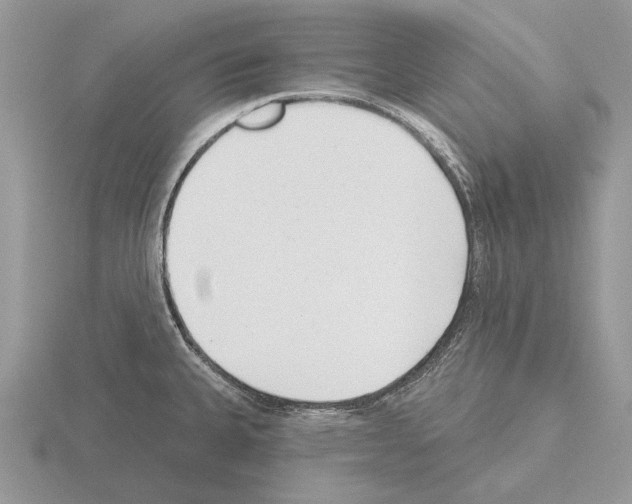 X0000115291335200912141048