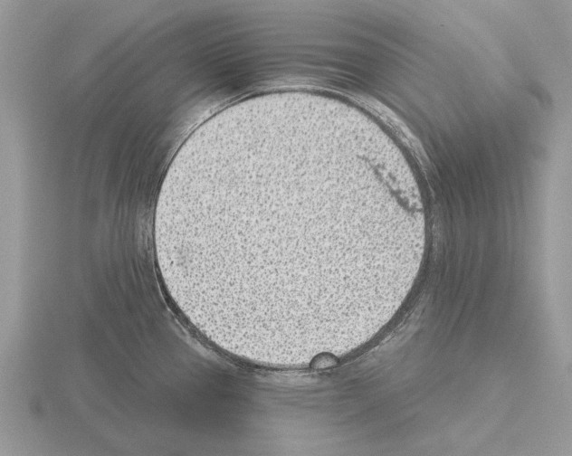 X0000115291337200912141048