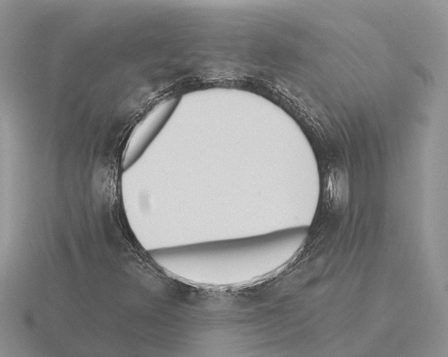X0000115291348200912141047