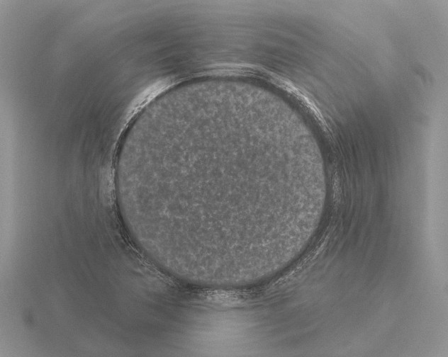 X0000115291362200912141047