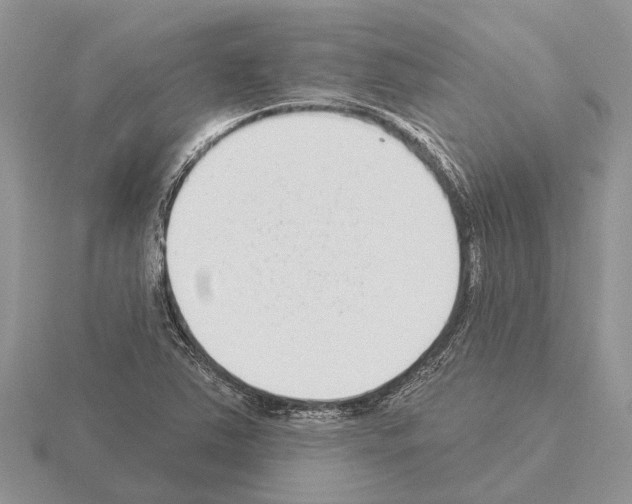 X0000115291363200912141047