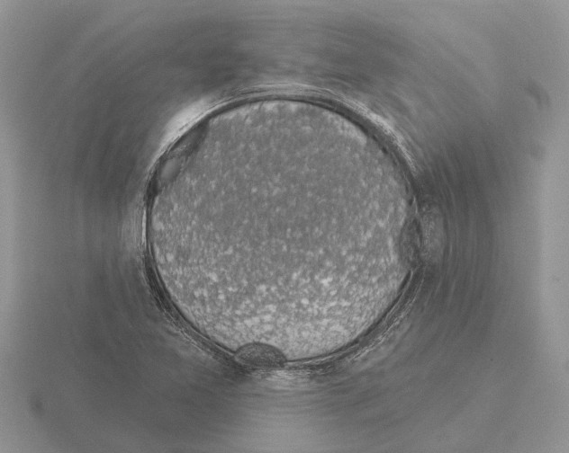 X0000115291365200912141047