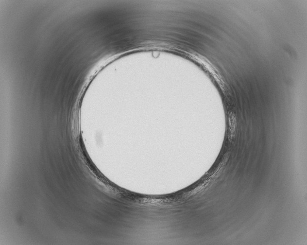 X0000115291371200912141047