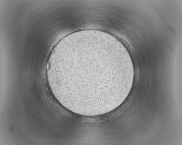 X0000115291374200912141047
