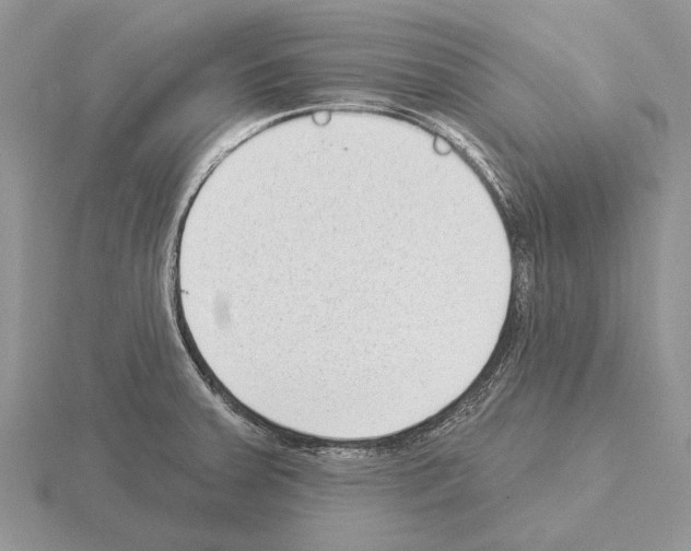 X0000115291379200912141047