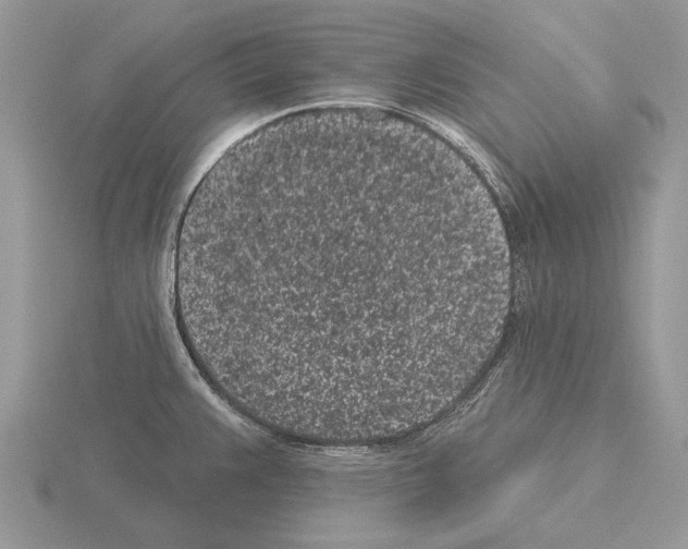 X0000115291383200912141047