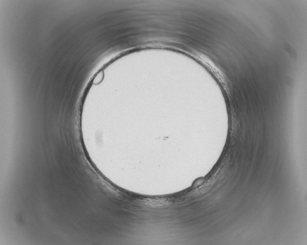 X0000115291384200912141047
