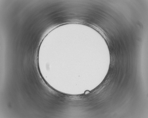 X0000115291387200912141047
