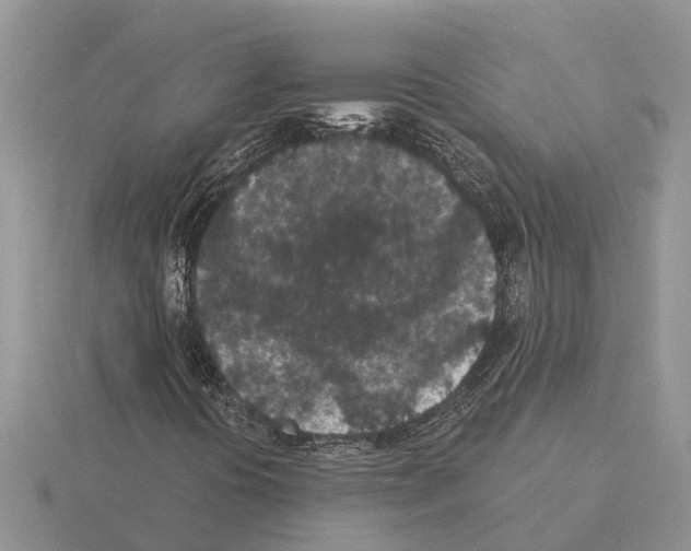 X0000115291394200912141046