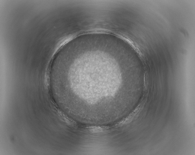 X0000115291405200912141046