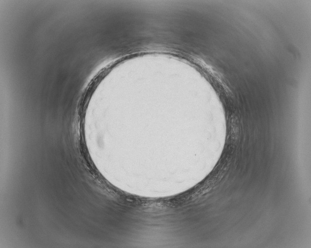 X0000115291408200912141046