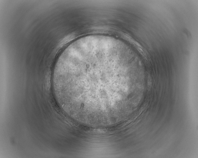 X0000115291411200912141046