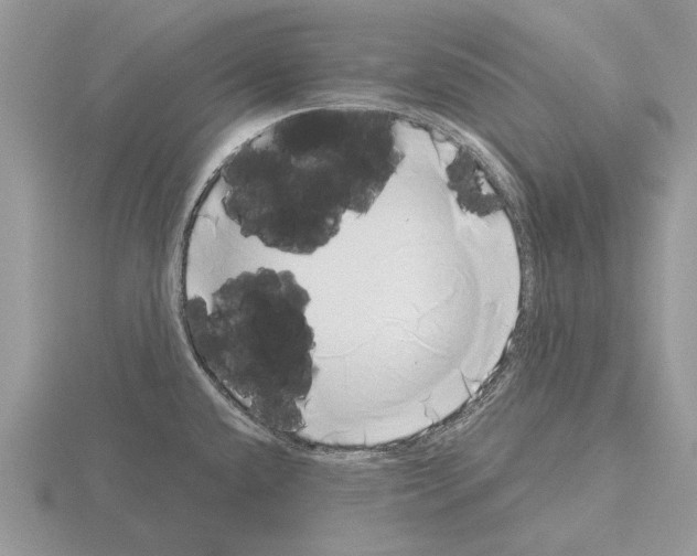 X0000115291432200912141046