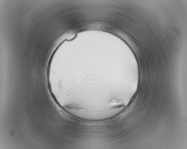 X0000115291434200912141046