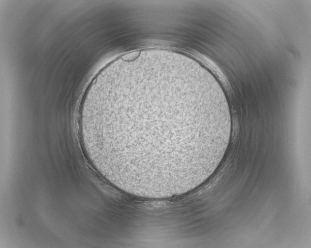 X0000115291435200912141046
