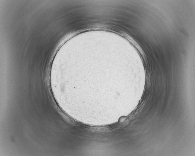 X0000115291437200912141046