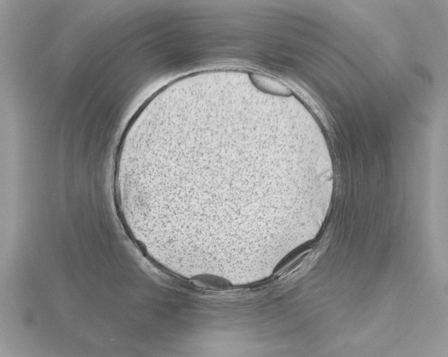 X0000115291438200912141046