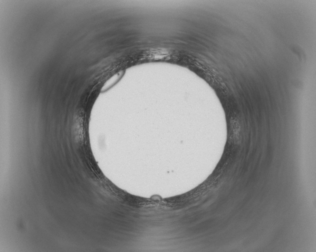 X0000115291442200912141046