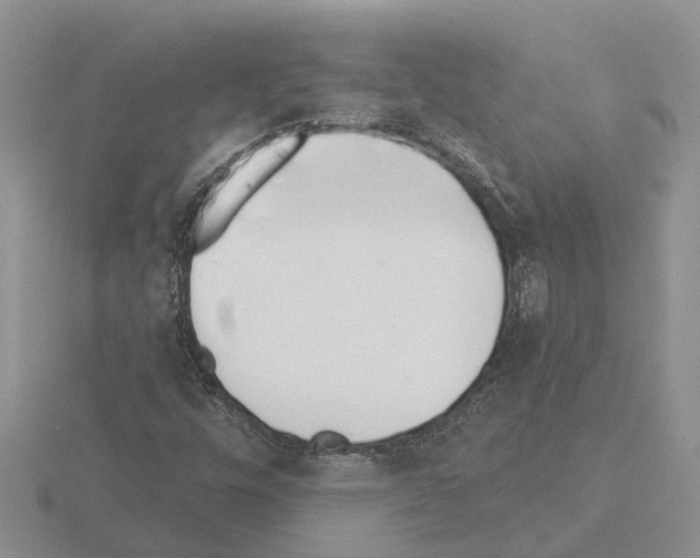 X0000115291448200912141046