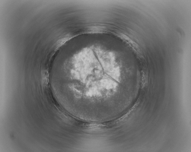 X0000115291449200912141046