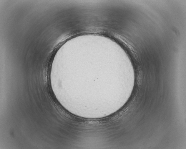 X0000115291451200912141046