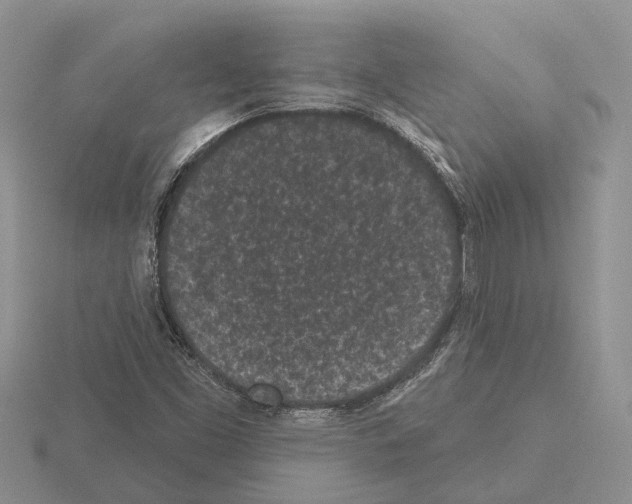 X0000115291453200912141046