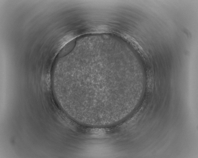 X0000115291457200912141046