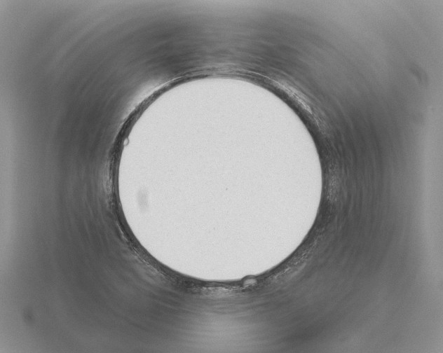 X0000115291458200912141046