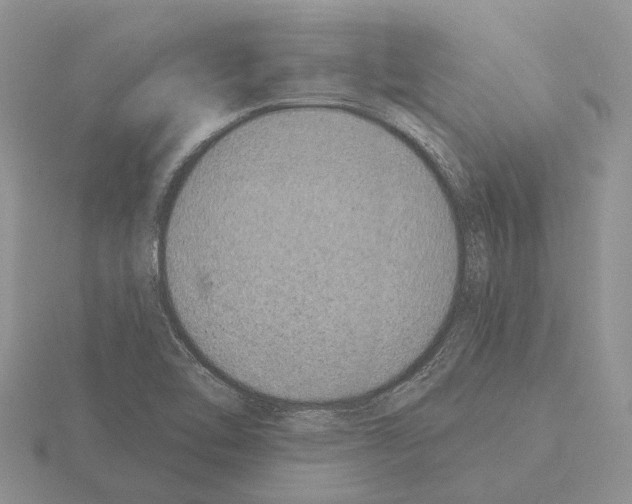 X0000115291462200912141046